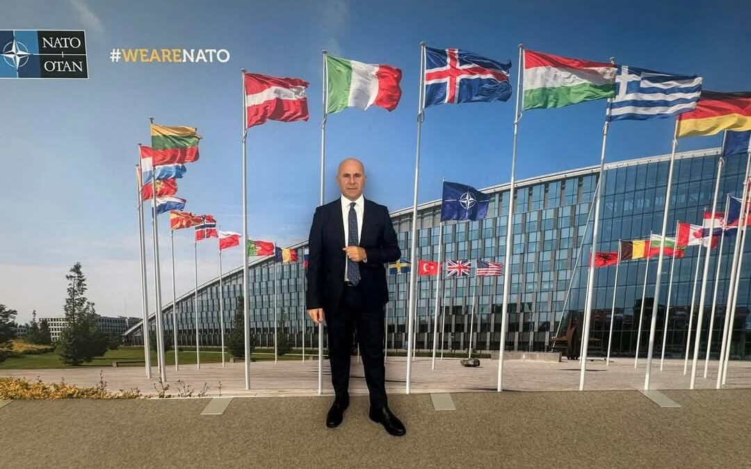 UE E NATO: SFIDE E OBIETTIVI